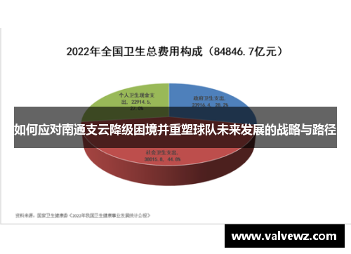 如何应对南通支云降级困境并重塑球队未来发展的战略与路径